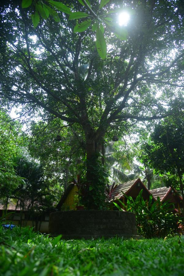 SAVITHRI INN Cottages Varkala Esterno foto